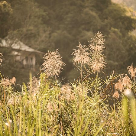 Four Seasons Tented Camp Goldenes Dreieck Exterior foto