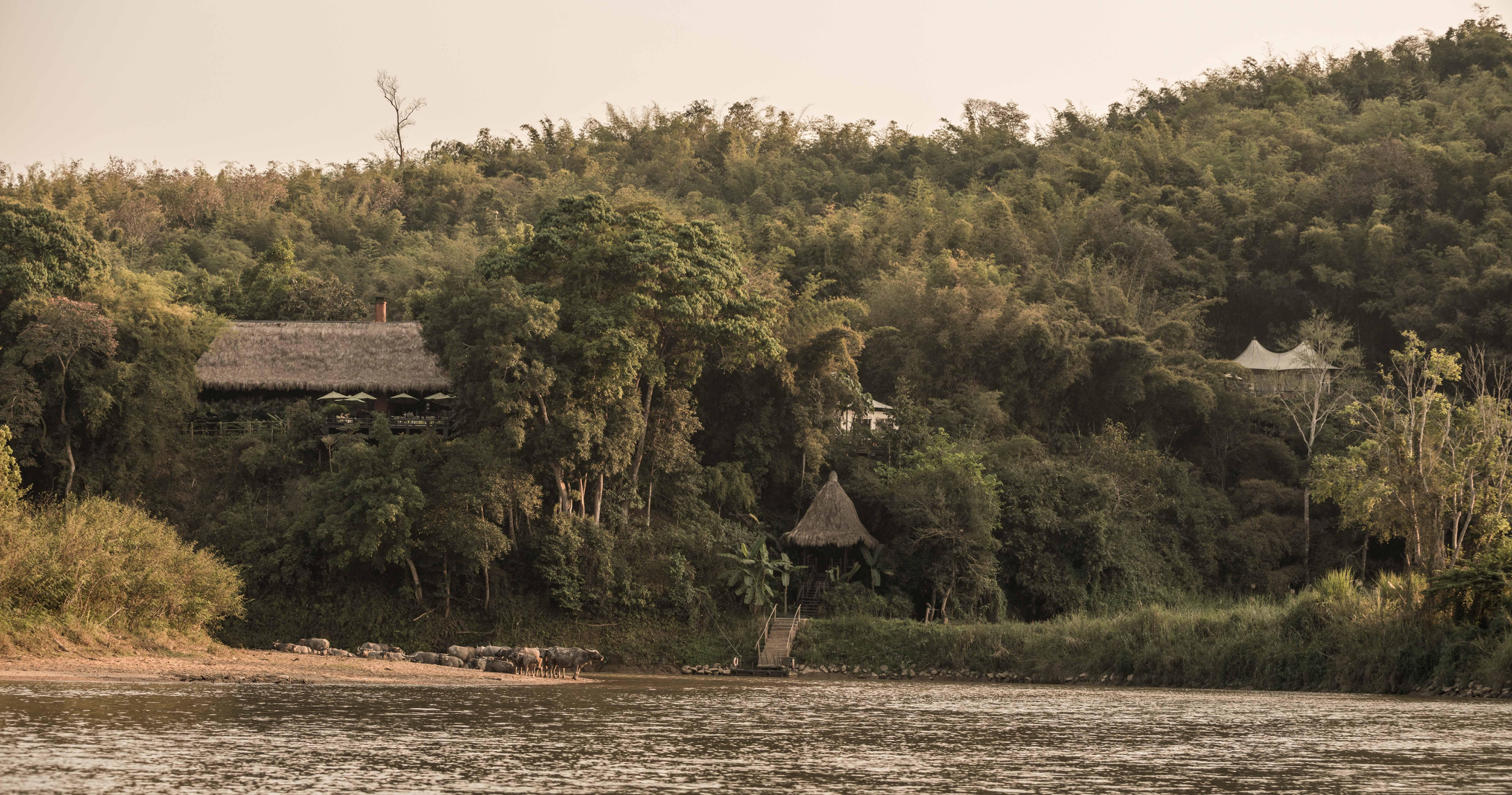 Four Seasons Tented Camp Goldenes Dreieck Exterior foto