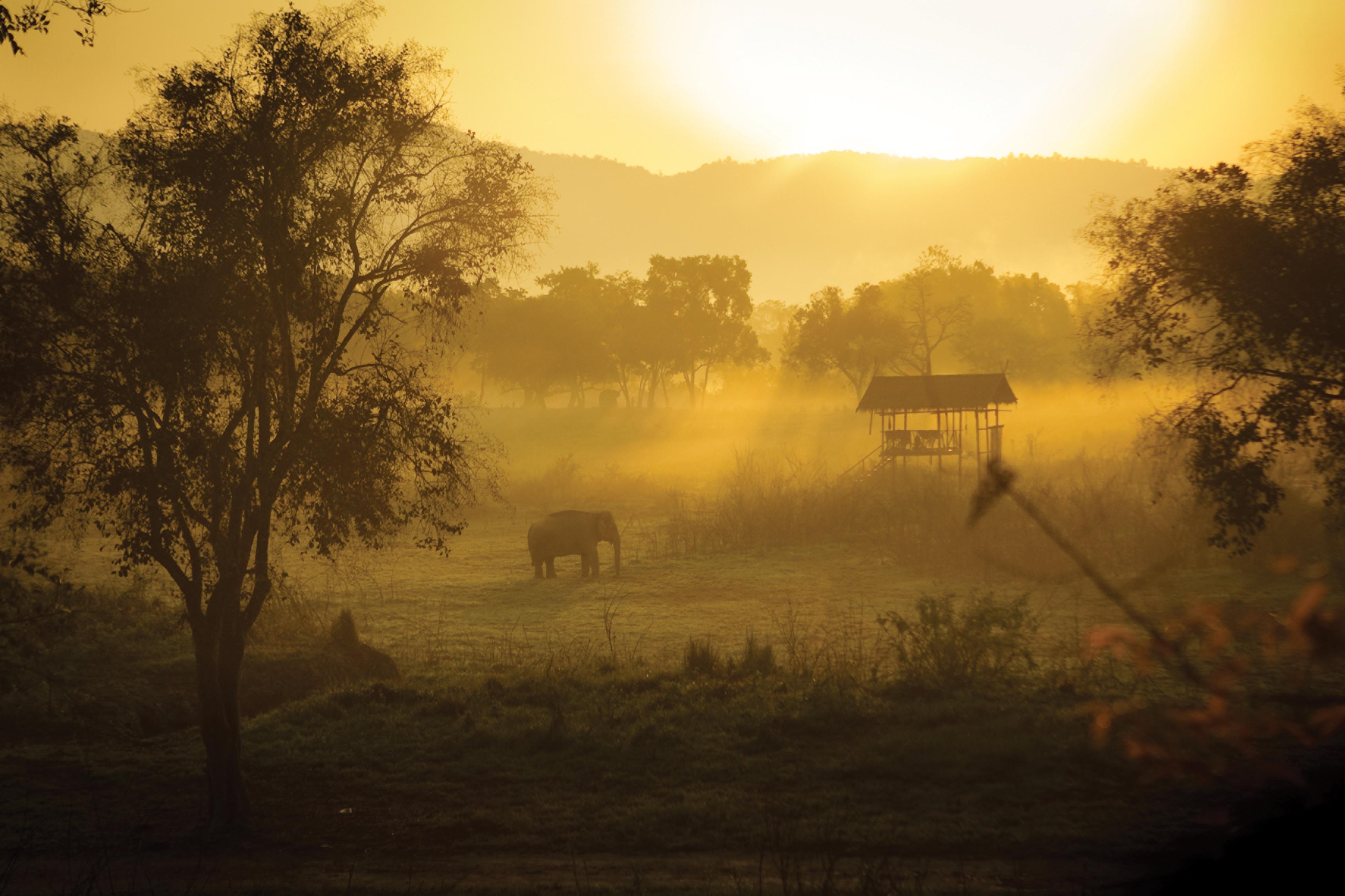 Four Seasons Tented Camp Goldenes Dreieck Exterior foto