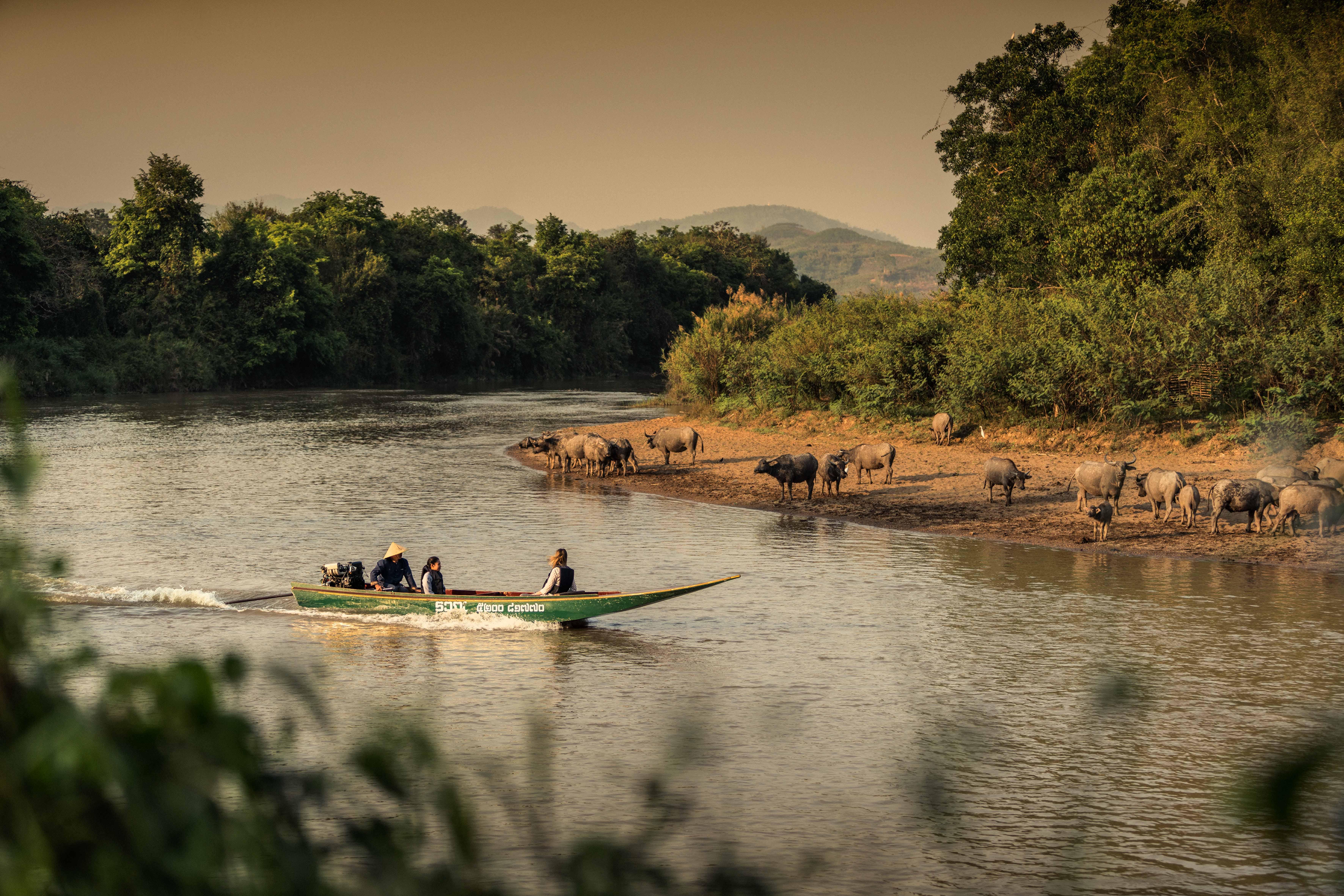 Four Seasons Tented Camp Goldenes Dreieck Exterior foto